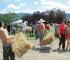 Mondeggi fattoria senza padroni_04.JPG